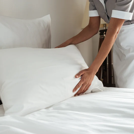 Bedroom Pillow